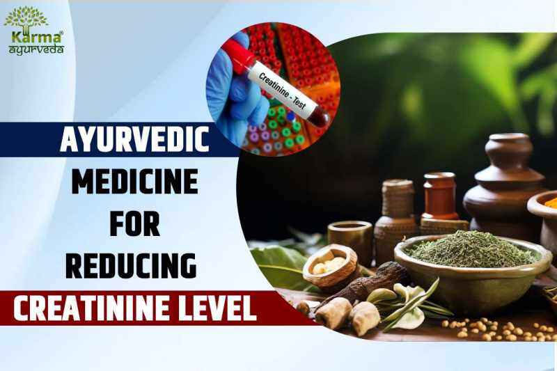 Ayurvedic Medicine For Reducing Creatinine Level
